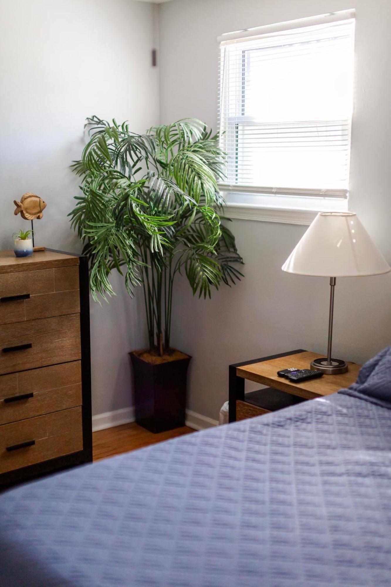Fantastic 3Br Close To Botanical Gardens And Airport Norfolk Buitenkant foto